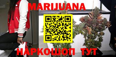 крисы Краснодар