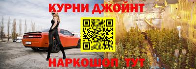 крисы Краснодар