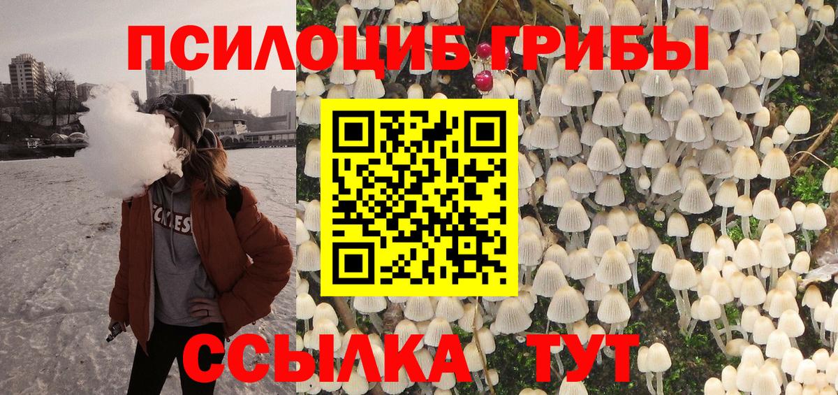 Псилоцибиновые грибы GOLDEN TEACHER  Вход с VPN  Кингисепп 