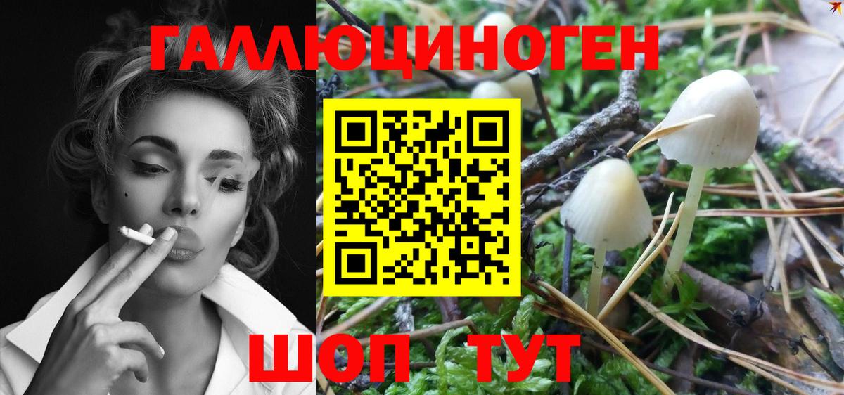 Псилоцибиновые грибы Magic Shrooms Кингисепп